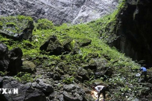 Vườn Quốc gia Phong Nha-Kẻ Bàng: Phát hiện nhiều động vật trong Sách đỏ