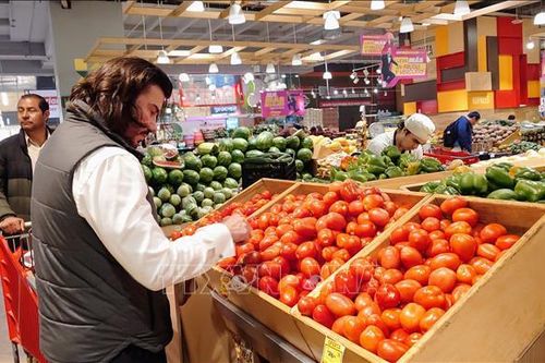 Thuế quan của Mỹ: Thụy Sĩ tìm cách đối phó, Mexico siết xuất khẩu cà chua