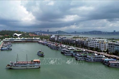Quảng Ninh hành động mạnh mẽ vì một vịnh Hạ Long an toàn
