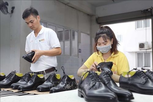 Đa dạng hóa nguồn cung nguyên liệu: Giải pháp then chốt cho sản xuất bền vững