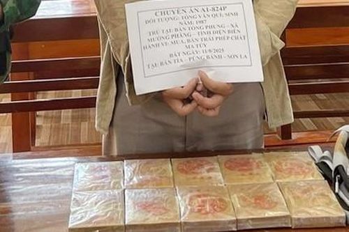 Bắt đối tượng mua, bán trái phép 10 bánh heroin