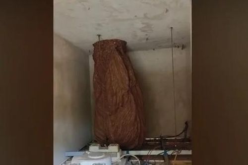 Nghe thấy tiếng động 'lạ', người đàn ông bủn rủn khi thấy cảnh tượng đáng sợ trong nhà