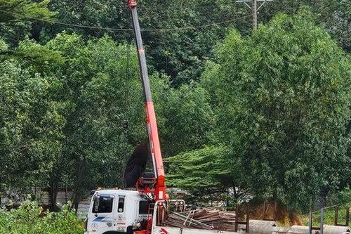 Điều khiển xe cẩu vướng dây điện, 2 người thương vong