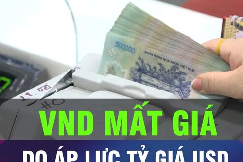 Áp lực tỷ giá, chấp nhận sự đánh đổi cho VND mất giá