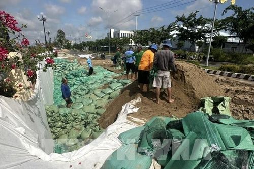 Khắc phục tạm thời sự cố sụp lún, sạt lở kè Thường Thới Tiền