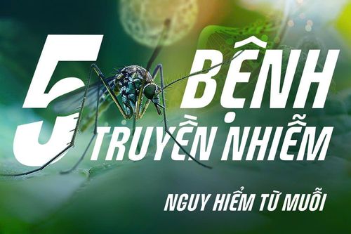 Cảnh báo: 5 bệnh truyền nhiễm nguy hiểm từ muỗi chưa có thuốc chữa cần phải hết sức chú ý!