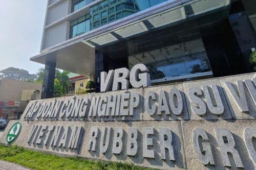 Nửa đầu 2025, Tập đoàn Công nghiệp Cao su Việt Nam lập kỷ lục lợi nhuận nhờ mảng mủ cao su
