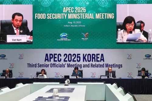 Việt Nam đề xuất nhiều sáng kiến thúc đẩy đổi mới nông nghiệp cho khối APEC