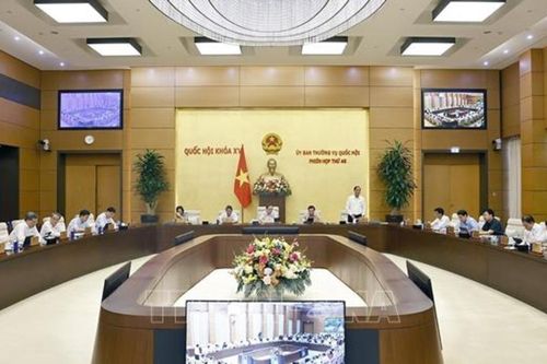Dự thảo Luật Tình trạng khẩn cấp: Đề xuất quy định mua sắm, đấu thầu theo trình tự rút gọn