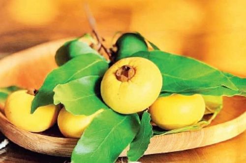 Mùa thị về trong nỗi nhớ