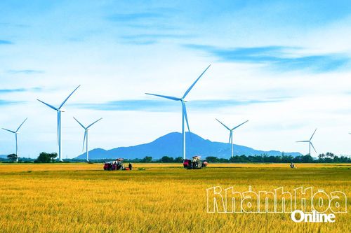 Hướng tới Đại hội đại biểu Đảng bộ tỉnh Khánh Hòa lần thứ XIX, nhiệm kỳ 2025 - 2030: Phát triển Khánh Hòa trở thành trung tâm năng lượng điện quốc gia