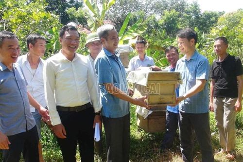 Bàn giao ong giống, vật tư triển khai mô hình nuôi ong mật tại xã Xuân Quang