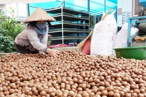 Xã hơn 13.000 dân chưa có chợ dân sinh