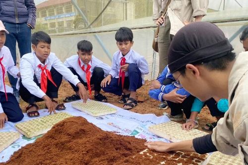 Vườn rau thay đổi ý niệm