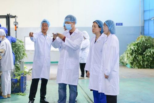 Nâng cao chất lượng, mở rộng thị trường xuất khẩu nông sản