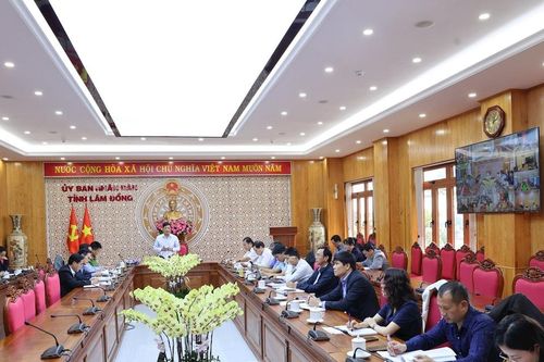Lâm Đồng tăng cường các giải pháp bảo vệ môi trường sau sáp nhập