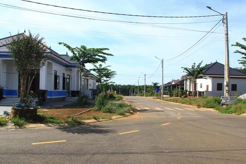 Sức sống mới ở Cồn Tiên