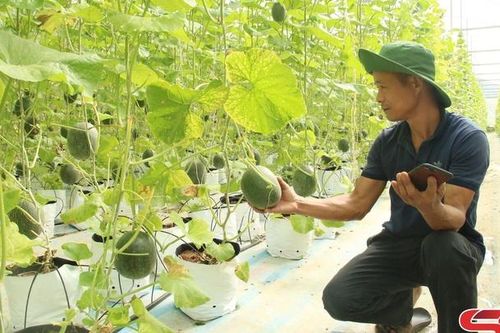 Chiềng La nỗ lực giảm nghèo