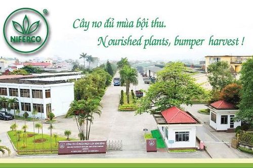 Phân lân Ninh Bình tăng trưởng tích cực trong 6 tháng đầu năm 2025