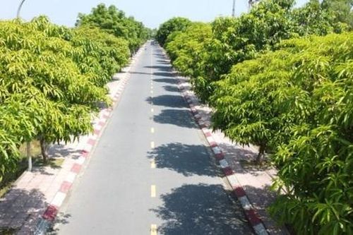 Hà Tĩnh ứng dụng công nghệ mới và vật liệu mới trong thiết kế, xây dựng