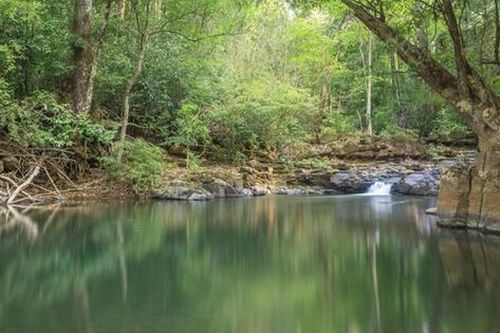 Đồng Nai bàn cách giữ vững 'lá phổi xanh' Bù Gia Mập, hướng tới du lịch sinh thái bền vững