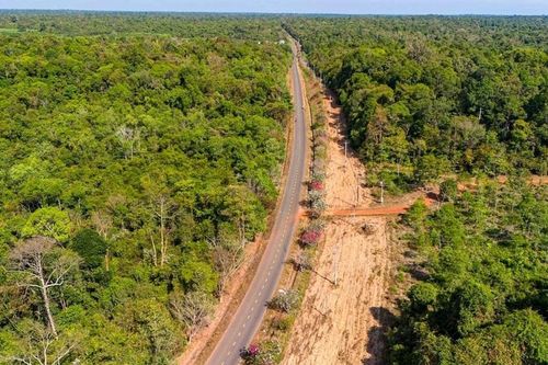 Đề xuất làm đường trên cao qua Khu bảo tồn thiên nhiên văn hóa Đồng Nai