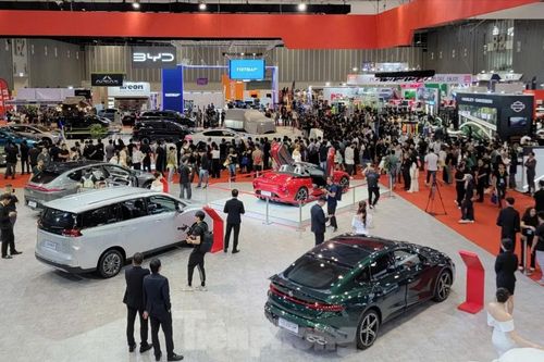 Không tổ chức Triển lãm Ô tô Xe máy Việt Nam năm 2025