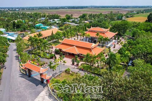 Mùa vú sữa trên miền quê mới