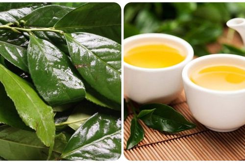 6 nhóm người không nên uống nước chè xanh