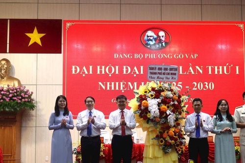 TP Hồ Chí Minh: 235 đại biểu dự Đại hội Đảng bộ phường Gò Vấp