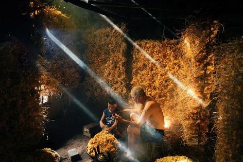 Mùa tằm nhả tơ gây sửng sốt ở Hưng Yên