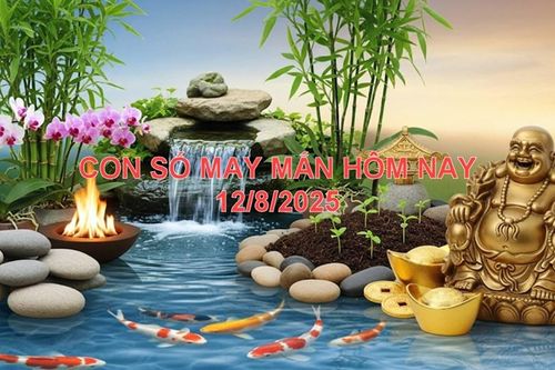 Con số may mắn ngày 12.8.2025 cho 12 con giáp: Tài lộc và cơ hội mỉm cười