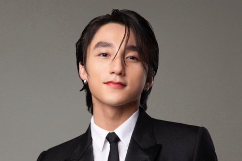 Sơn Tùng M-TP và thông tin cưỡng chế nợ thuế
