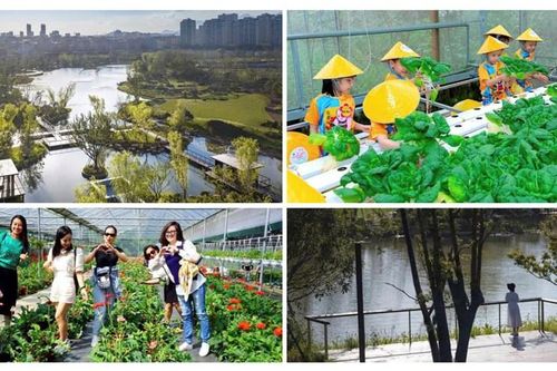 Đề xuất xây dựng Công viên Văn hóa - Ẩm thực - Du lịch cộng đồng ven sông Hòa Xuân