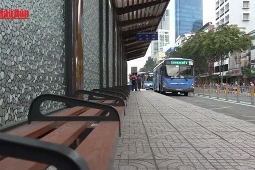 Hà Nội tăng cường 20 tuyến xe buýt phục vụ đại lễ A80