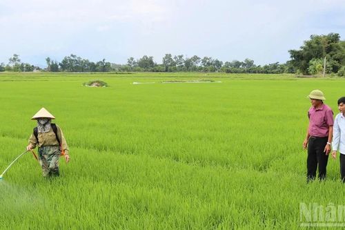 Hà Tĩnh căng mình phòng chống dịch bệnh trên cây trồng, vật nuôi