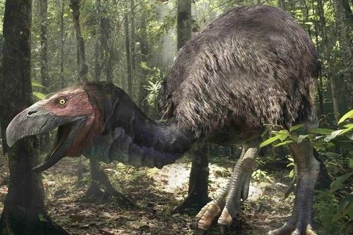 Tiết lộ sốc về loài chim có cái mỏ đáng sợ nhất từng tồn tại