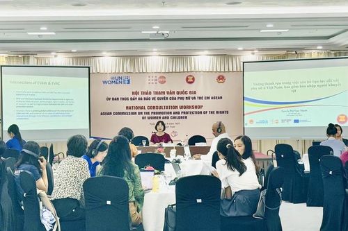 Việt Nam nỗ lực thúc đẩy và bảo vệ quyền của phụ nữ và trẻ em trong ASEAN