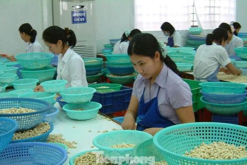 Đàm phán thương mại cần 'ông cho chân giò, bà thò chai rượu'