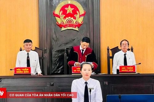 Cú vượt đèn đỏ không bằng lái và nỗi hối hận muộn màng
