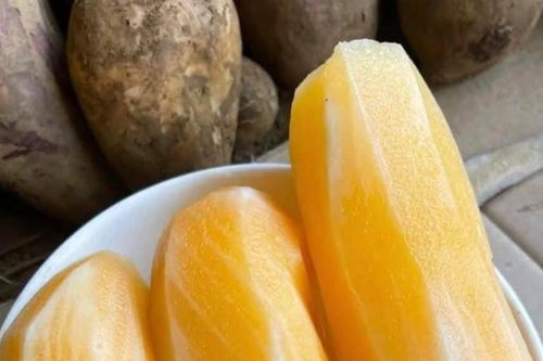 'Món quà' từ lòng đất ở miền Bắc ăn giòn ngon lại mát, để lâu càng ngọt, thơm