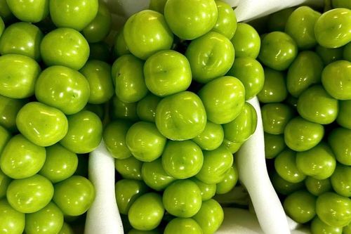 Nho sữa Trung Quốc loại bình dân chỉ còn 15.000 đồng/kg, ngang với mớ rau