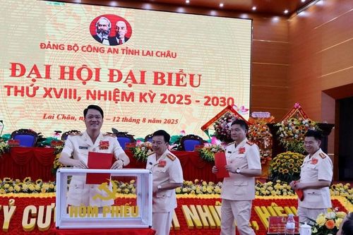 Lai Châu tập trung vận hành hiệu quả mô hình công an hai cấp