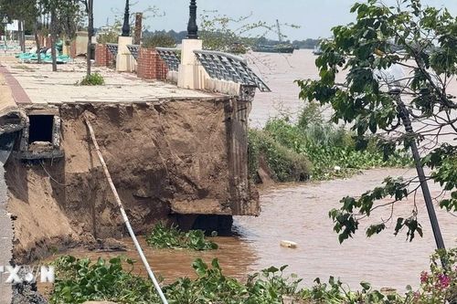 Đồng Tháp: Kè Thường Thới Tiền tiếp tục sạt lở nghiêm trọng