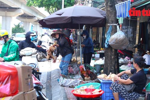 Hà Nội: Chợ tự phát đua nhau lấn chiếm vỉa hè, lòng đường