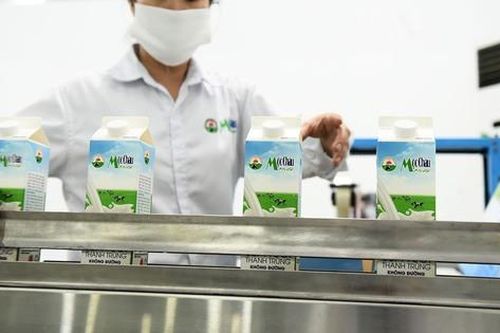 Quý chật vật của ngành sữa và ngoại lệ mang tên Mộc Châu Milk