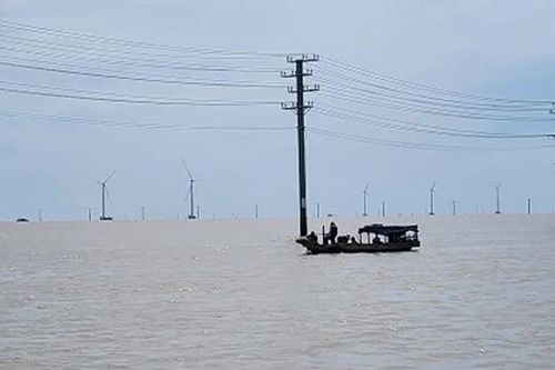 Vĩnh Long: 13 trụ đường dây truyền tải điện bị gãy trong lúc bảo trì