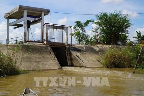 Mở cống đón lũ, mang phù sa vào ruộng ở Đồng Tháp