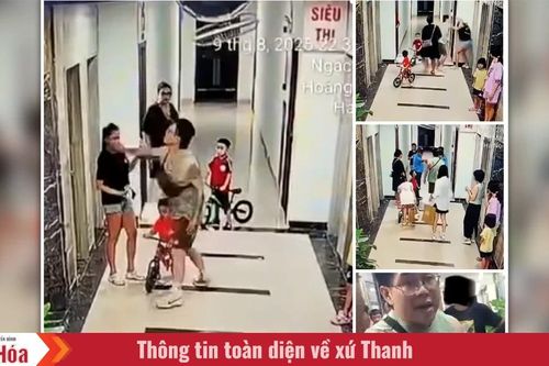 Cần xử lý nghiêm hành vi côn đồ, xem thường pháp luật