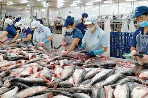 Loạt doanh nghiệp thủy sản như Vĩnh Hoàn, Minh Phú... bứt tốc trước thềm thuế quan